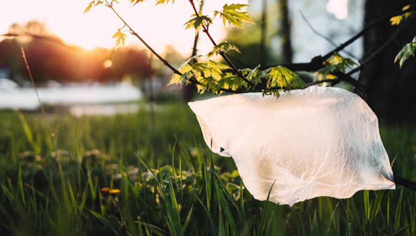 Le Défi sans plastique : notre conclusion